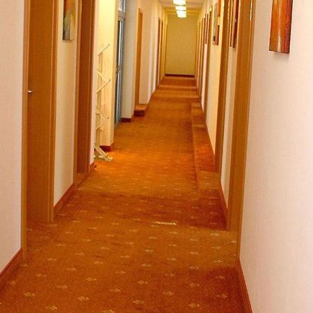 Evido Rooms Salzburg Bagian luar foto